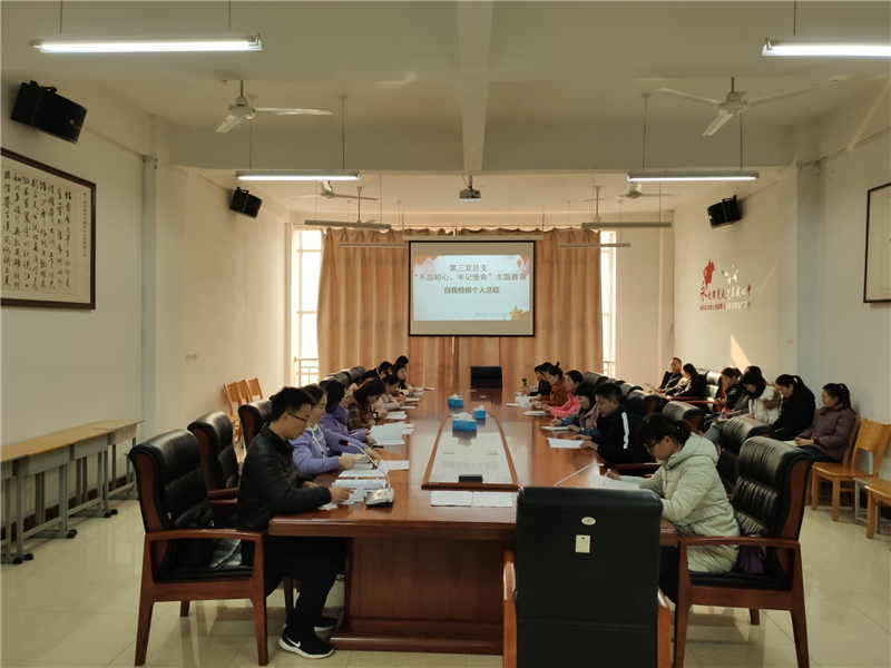 【第三党总支】召开不忘初心、牢记使命主题教育民主生活会