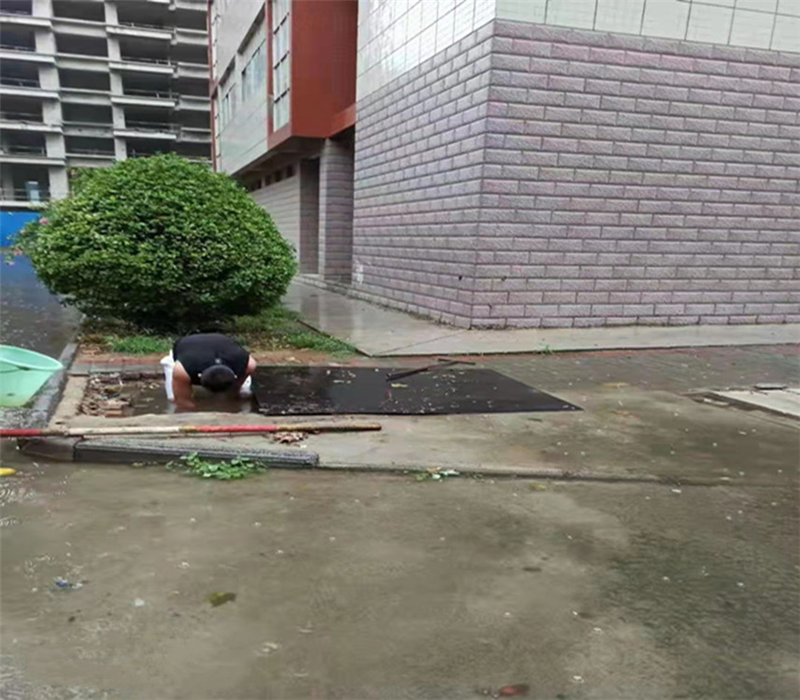 1626703585553057.png 101.png