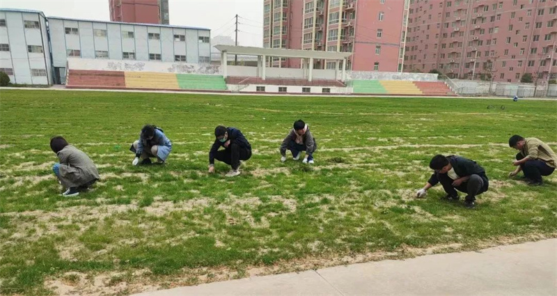 【后勤处】后勤直属党支部组织开展拔草护绿 美化校园主题党日活动